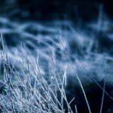 Snooba Presents: Nocturnal Transmission volume IV