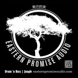 Phuture-T : The Eastern Promise Audio Radio Show Jungletrain.net 27-11-2015