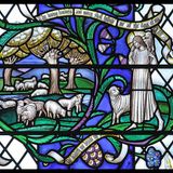 The Lord's not my Shepherd