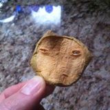 Reddit December 2013 MoTM