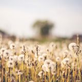Fields vol.03 by Christian Storm