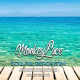 MonkeyFace - Soulful Beach Mix