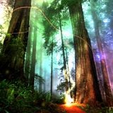 Sacred Echo Sound Healing 4