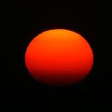 Extrasolar