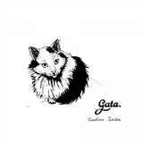 Especial Bandas - Gata - 14 a 19Setembro
