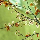 Podcast 2014 04 30