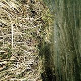 Benoit Pioulard - PMT#5 Rain In May's Drain Basin