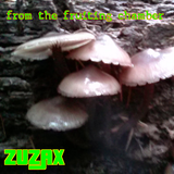 From The Fruiting Chamber