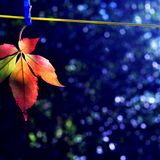 Tino Deep - Colours Of The Wind ( October 2015 Promo Mix)