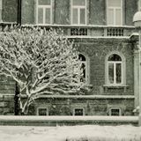 Dejan Dex - Snegulka (February 2013)