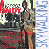 Skywalking the skylarking riddim