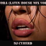 Señora (Latin House Mix Vol.2)