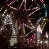 The Shed at WOMAD #158 (01.08.2014)
