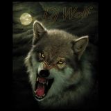 House Music mix #5 by Dj Wolf