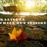 Chill Out Session 44