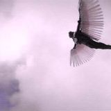 Double Universe - The perfect flight