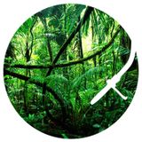 Cuddlemonster - DEEPER 011 Live
