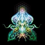 Shamble T. - Fractal Universe