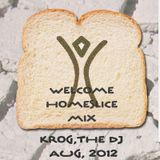Welcome Homeslice Mix - Krog the DJ's 10th Trip to Burning Man