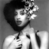 Soul Love Groove Volume 15