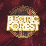 ELECTRIC FOREST 2015 ENTRY