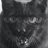 Furiza - Only my own tracks