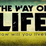 ERRoR2k - The way of life in the mix 2012