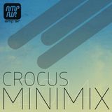 Crocus - Minimix 2014
