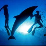 Deep Diving Beats
