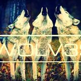 WOLV3S (SIX - FLAGS -13 DE DICIEMBRE )