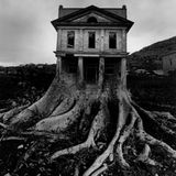 Deeply Rooted 002- Oak/ - October Mix