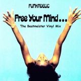 Vinyl Mix Sampler 8 - Funkadelic Friday