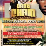 BABY CHAM LIVE @ CLUB STEREO IN GAINSVILLE, FL 11/17/2012 PROMO MIX