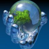 The Looking Glass 1.1 by Joint Custody