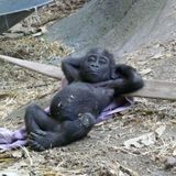 Just Chillin'