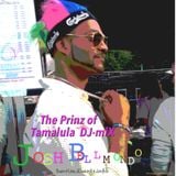 prinzTamalulaMix