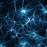 Verklatschte Synapsen 2.0