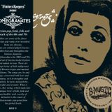 Electric Café - Welle20.de Podcast 38 - Pomegranates - A Trip to the Persian Music (2014-12-17))