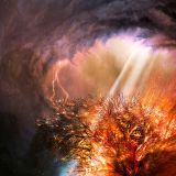 ASCENSION