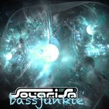 bassjunkie