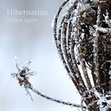Hibernation