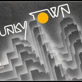 The house in funky town