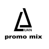 Promo Mix