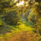 The Clearing with Capt. Christopher August 16, 2014