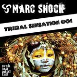 Tribal Sensation 001