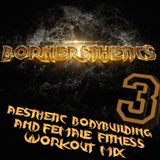 Aesthetic Bodybuilding and Aesthetics Female Fitness - Gym Workout Music Mix 3