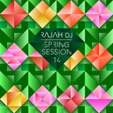 SPRING SESSION 14