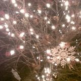 Feedback Deficiency's 2015 Holiday Special