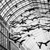Pedro Pimenta - Let The Birds Fly.