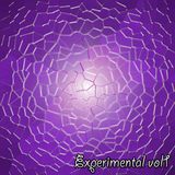 Experimental vol1